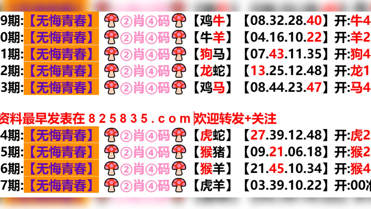 2024新奥历史开奖结果查询澳门六|高贵解答解释落实_节省版570.653