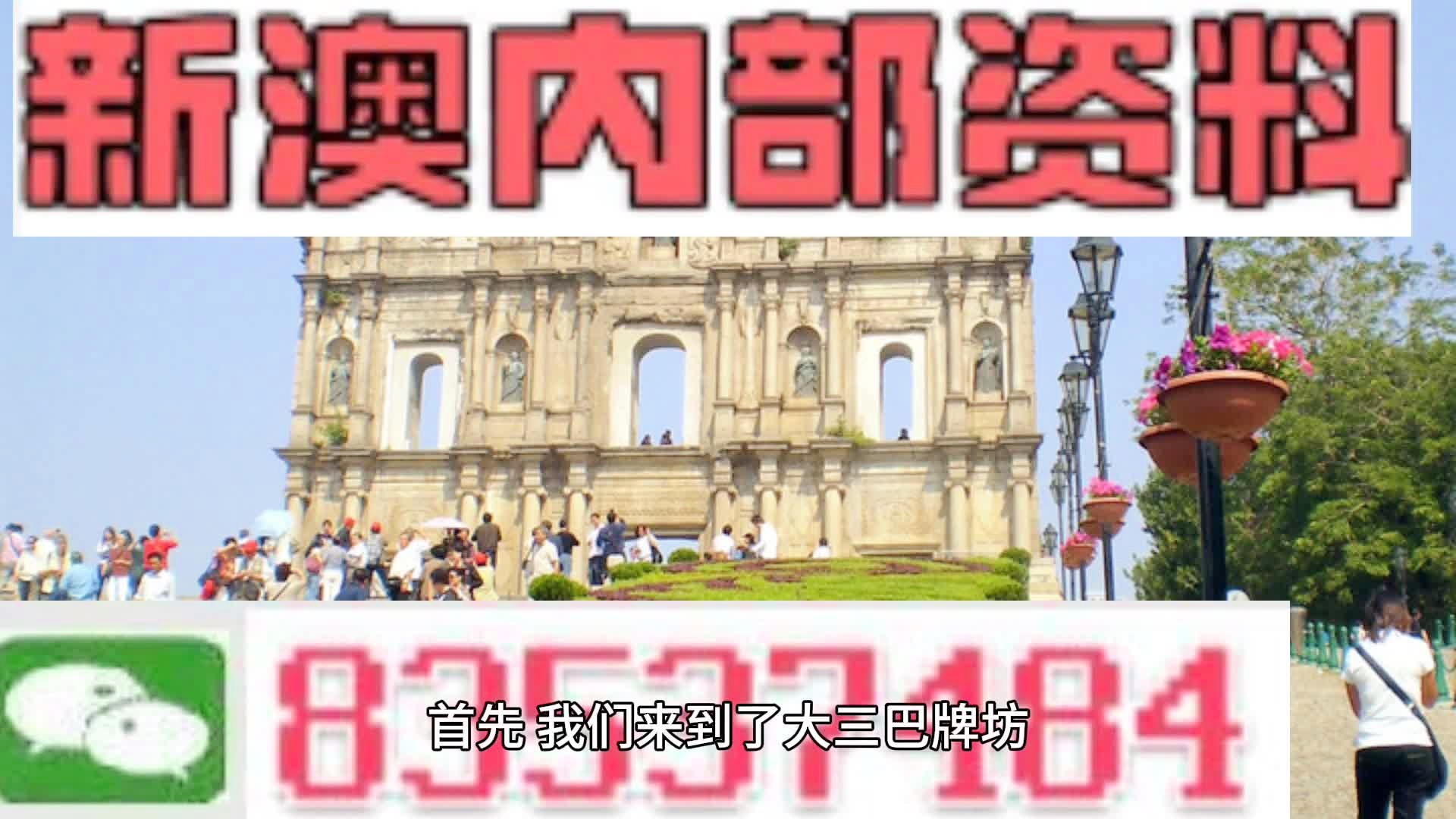 新澳门2024年正版免费公开|精英解答解释落实_独家版919.786