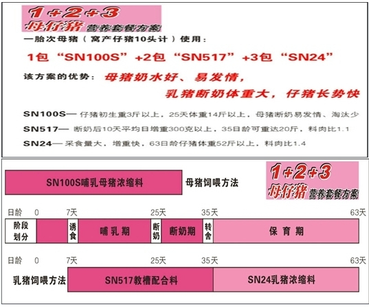 新澳最精准免费资料大全298期|理想解答解释落实_白银版638.465