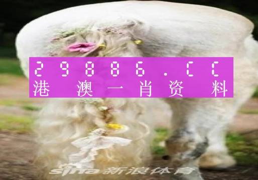 博客 第16页