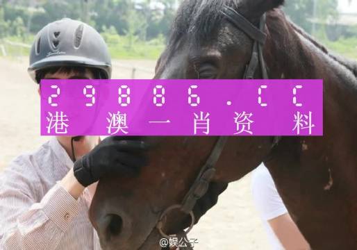 热门 第13页